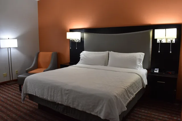 غرفة قياسية بسرير كينج لذوي الإعاقة، Holiday Inn Express & Suites NASHVILLE SOUTHEAST - ANTIOCH 7/9