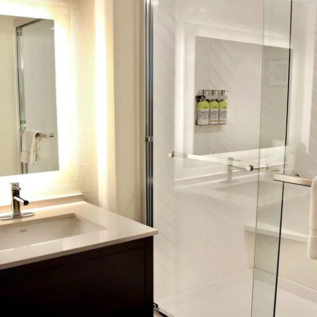 جناح بسرير كينج بغرفة نوم واحدة مع أريكة، Holiday Inn Hotel And Suites Overland Park Convention Center 1/1