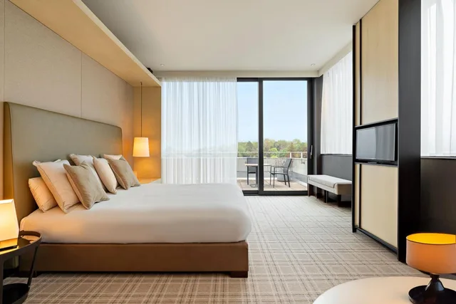 جناح بسرير كينج بإطلالة على الجبل بغرفة نوم واحدة، Crowne Plaza Geneva 2/5