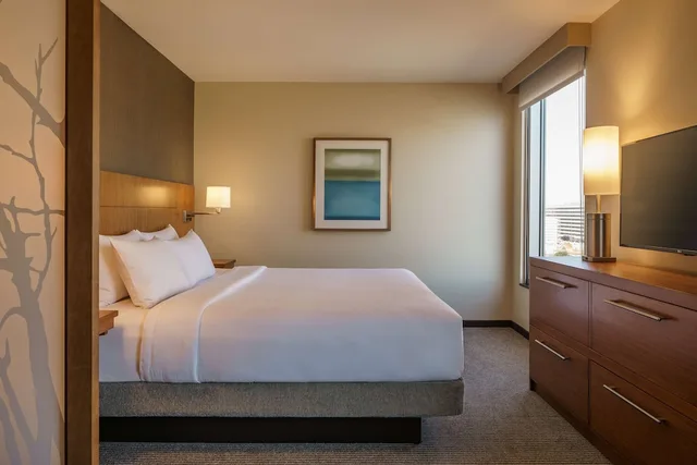جناح بسرير كينج بغرفة نوم واحدة مع أريكة، Hyatt Place Houston Galleria 1/3