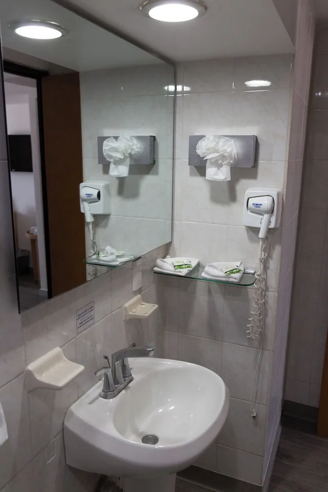 غرفة قياسية بسريرين منفصلين، Best Western Plus Gran Hotel Centro Historico 8/8
