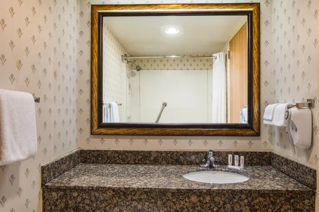 غرفة بسرير كينج للمدخنين، Days Inn By Wyndham Sherman 6/6