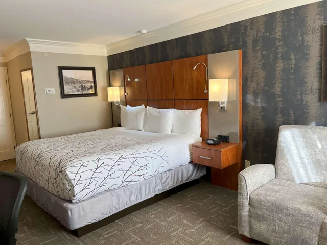 Room, Best Western Plus Silver Saddle Inn 2/6