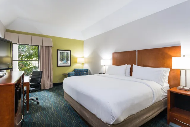 Standard, King Bed, Extra Floor Space، Holiday Inn Express Hotel And Suites Wilmington University Center 1/1