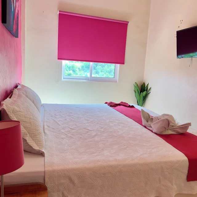 Standard, Double Bed, Barranquilla Hotel 1/10