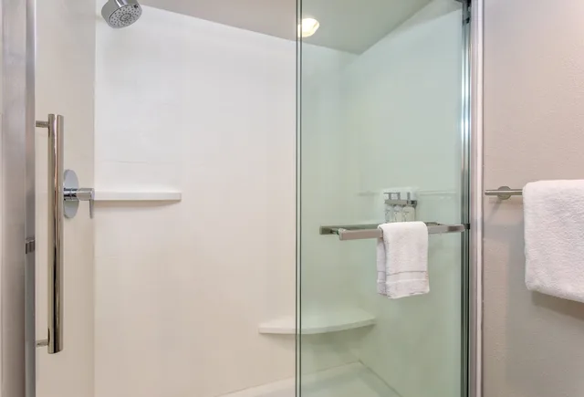 Standard, King Bed, Pool Access, Holiday Inn Express Clearwater East Icot Center 8/9