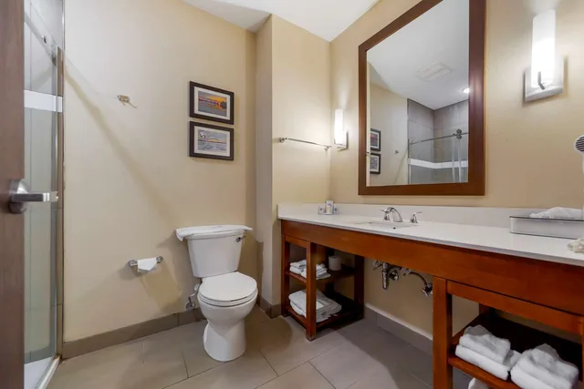 جناح بسرير كينج، Comfort Suites La Vista - Omaha 3/3