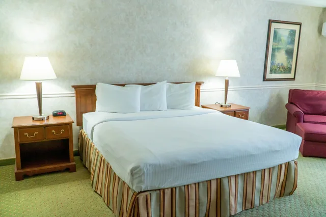 غرفة قياسية بسرير كينج، Hotel Piccadilly 2/3
