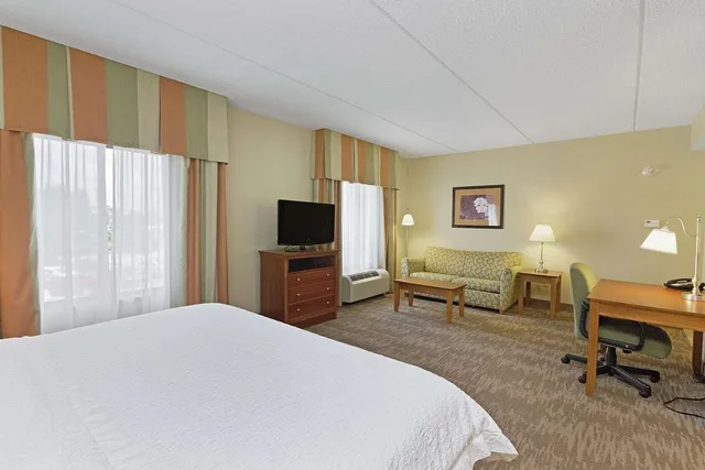 جناح استوديو بسرير كينج مع أريكة، Hampton Inn & Suites Blairsville 1/7
