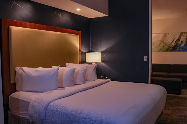 Suite, King Bed, Sofa, SpringHill Suites by Marriott Baton Rouge North/Airport 1/4