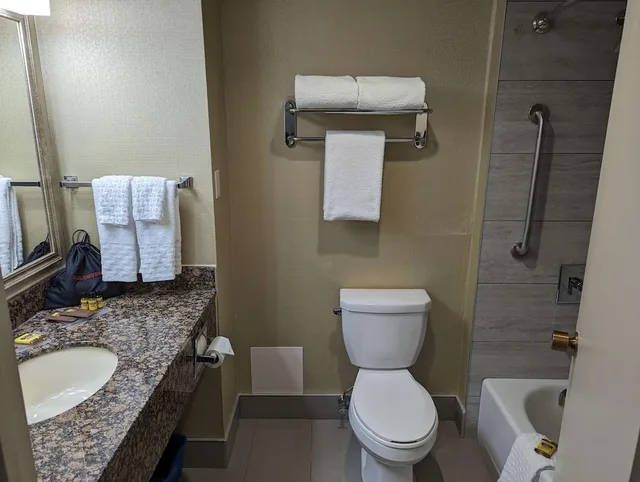 Standard, Queen Bed, Best Western Plus Toronto Airport Hotel 9/10