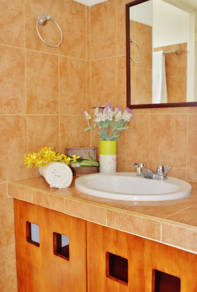 1 Bedroom, Deluxe, Suite, Partial Ocean View, Kitchen, Corales Suites 4/8