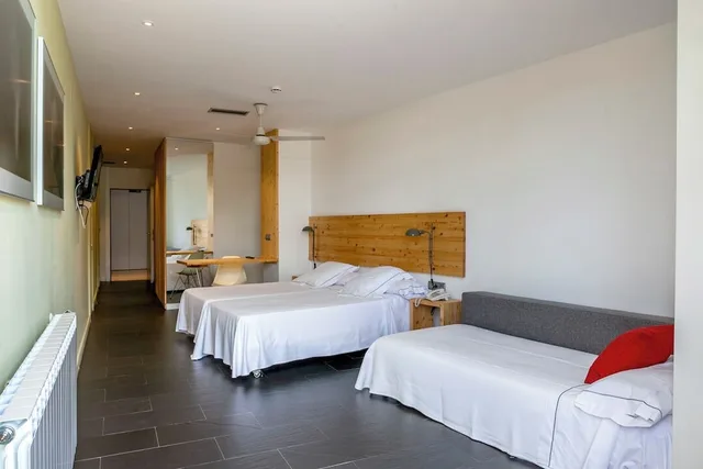 Big, Premium, Double Bed, Terrace، Tierra de Biescas 1/10