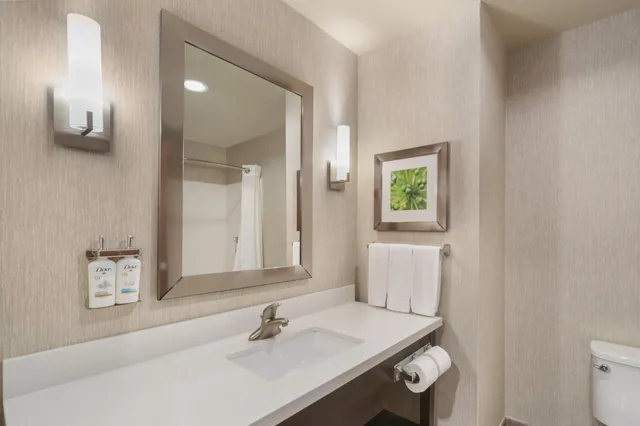 Room, 2 Double Beds, Accessible, Holiday Inn Express & Suites Houston Nw - Tomball Area 4/4