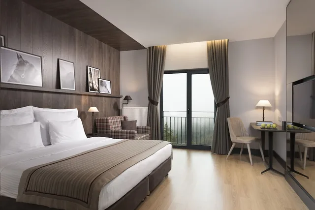 غرفة قياسية بسريرين منفصلين، Ferko Ilgaz Mountain Resort 1/3