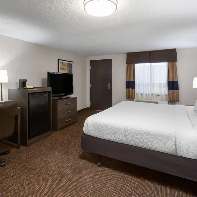 Deluxe, King Bed, Baymont By Wyndham Downtown Detroit 2/5