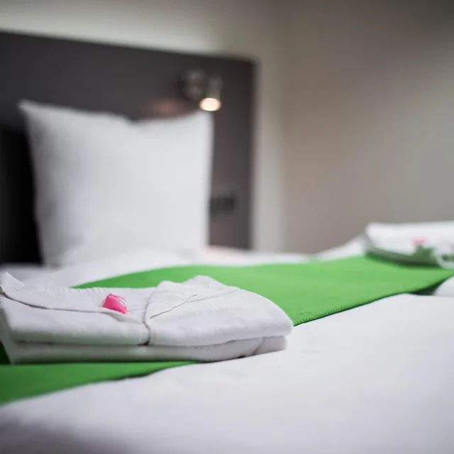 Deluxe, Double Bed, Hotel Herrmes 5/7