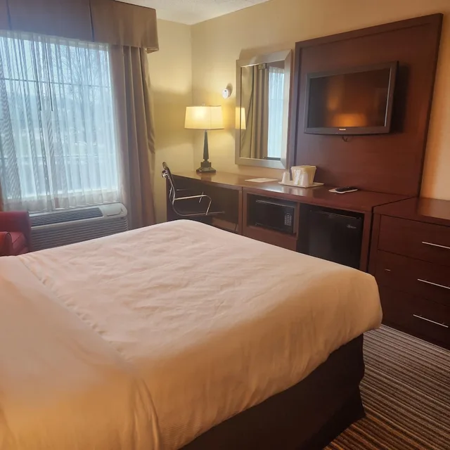 غرفة قياسية بسرير مزدوج لذوي الإعاقة، Best Western Chocolate Inn at the Park 2/3