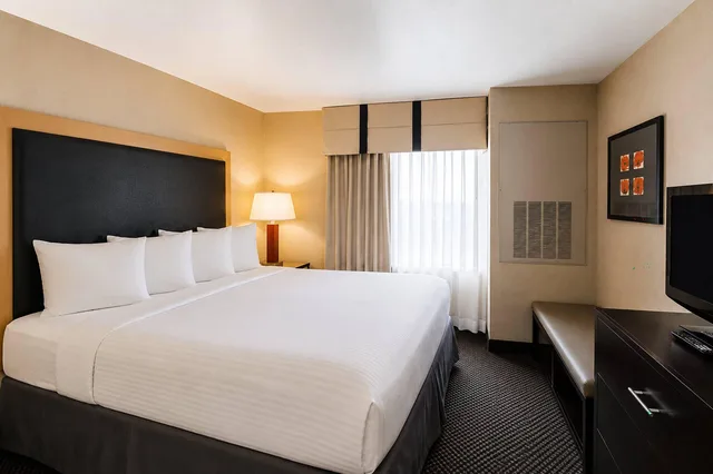 جناح بسرير كينج لذوي الإعاقة، Cambria Hotel Rapid City near Mount Rushmore 3/7