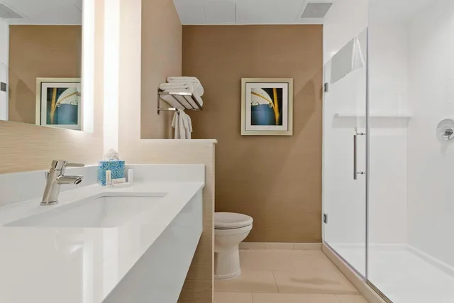 استوديو بسرير كينج مع أريكة، Fairfield Inn & Suites by Marriott St Petersburg North 3/3