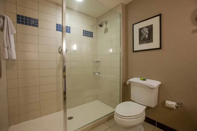 جناح ركني بسرير كينج لذوي الإعاقة، Wyndham Noblesville 2/6