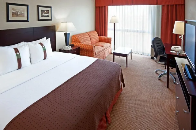 Leisure, King Bed، HOLIDAY INN PHILADELPHIA-CHERRY HILL 1/1