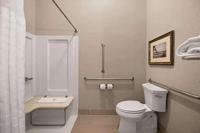 جناح بسرير كينج لذوي الإعاقة، Comfort Suites Hudson I-94 Hudson WI 5/6
