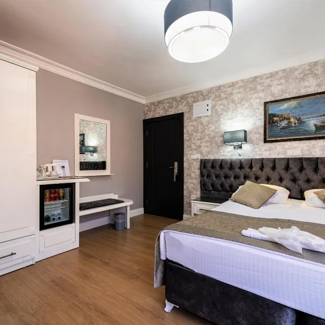 غرفة قياسية بسرير مزدوج أو سريرين منفصلين، Levent Hotel 10/10
