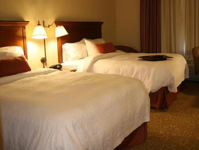 جناح بسريرين كوين مع أريكة لذوي الإعاقة، Hampton Inn Suites Lodi 1/5