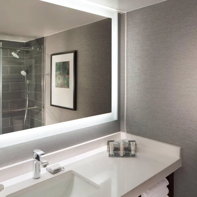 Bi Level, Suite, King Bed, Sofa، Omaha Marriott 3/3