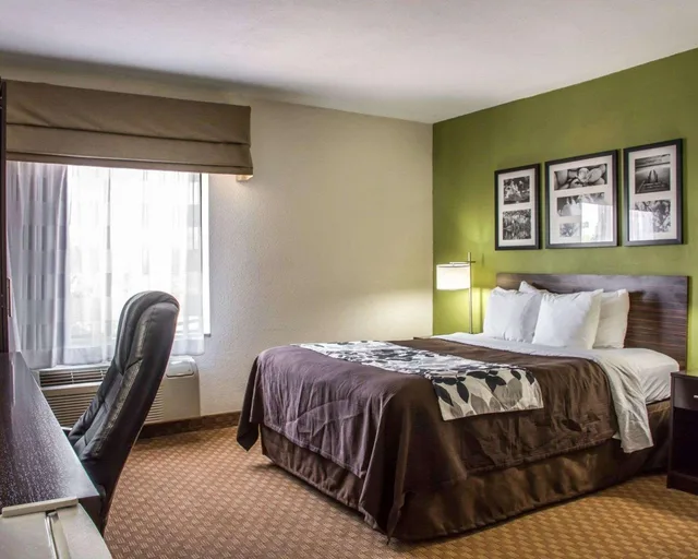غرفة بسرير كوين لذوي الإعاقة، Sleep Inn & Suites Cullman I-65 exit 310 3/4