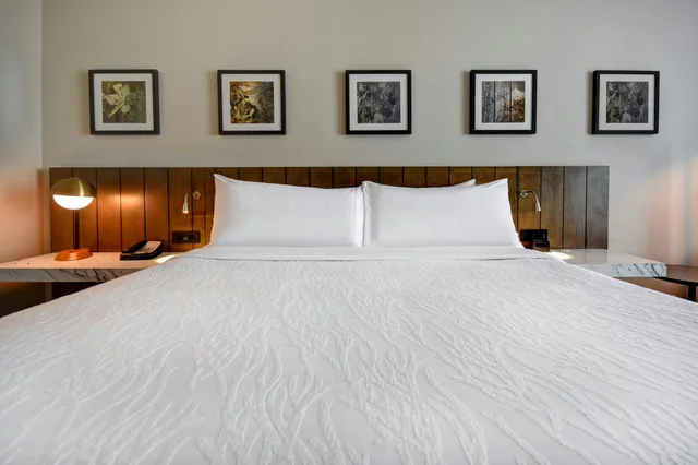 غرفة بسرير كينج لذوي الإعاقة، Hilton Garden Inn Jackson Tn 5/9