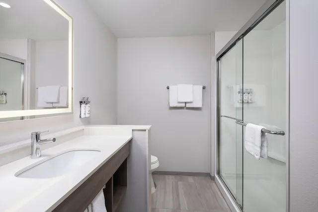 غرفة قياسية بسرير فردي، Holiday Inn Express & Suites BUFORD - MALL OF GEORGIA 3/5