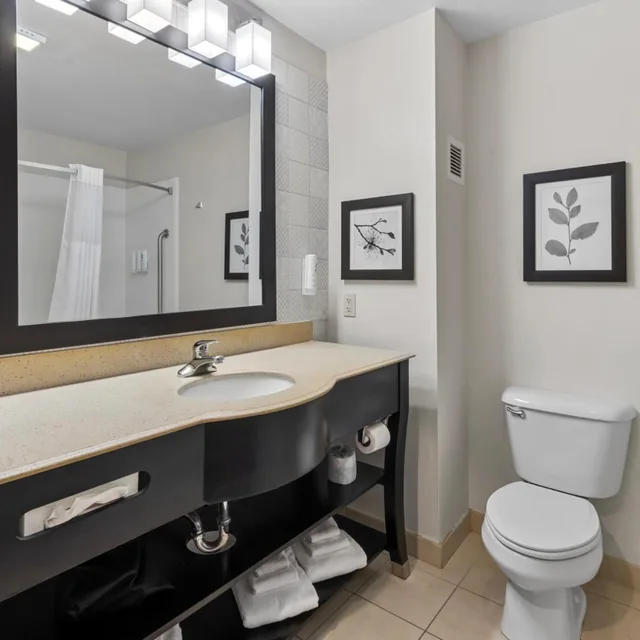 استوديو بسرير كينج مع أريكة، Country Inn & Suites By Radisson, Bowling Green, KY 8/9
