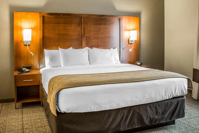 جناح بسرير كينج، Comfort Suites Hartville-North Canton 1/1