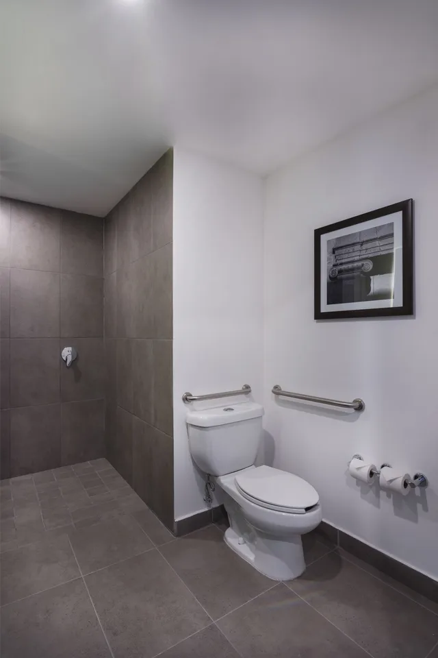 Studio, Queen Bed, Accessible, Hampton Inn And Suites San Luis Potosi Slp 6/7