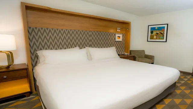 غرفة بسرير كينج بإطلالة على الجبل يُسمح فيها بالحيوانات الأليفة، Holiday Inn Steamboat Springs 4/10