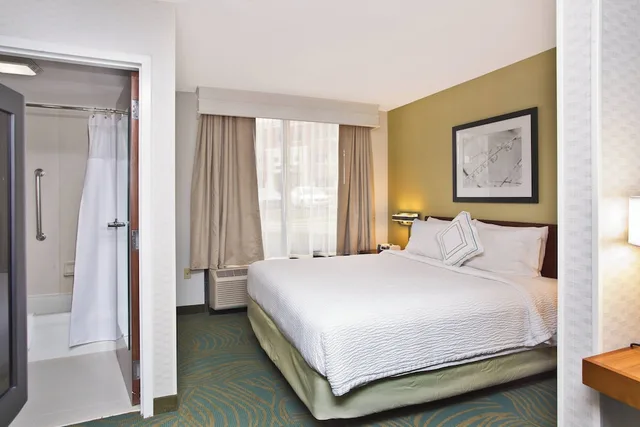جناح بسرير كينج مع أريكة لذوي الإعاقة، SPRINGHILL SUITES BY MARRIOTT CHICAGO ELMHURST/OAKBROOK AREA 2/6