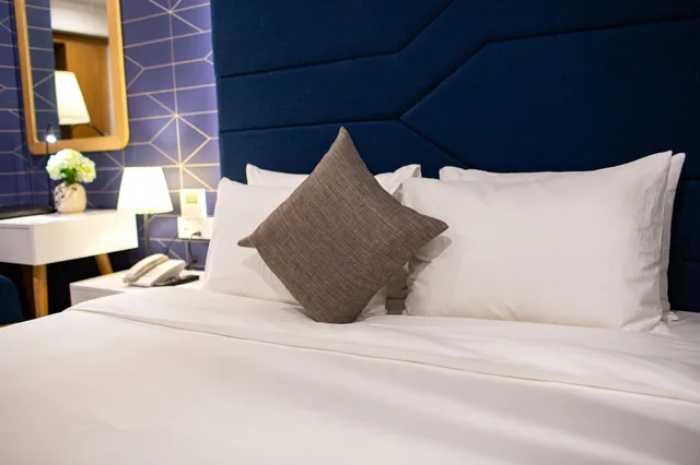 جناح بسرير مزدوج بإطلالة على المدينة، Bonsella Prestige Hotel and Spa 4/10