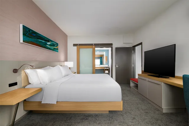 1 Bedroom, Suite, King Bed, Scenic View, Sofa، Hilton Garden Inn Millenia Near Universal Orlando Resort 3/6