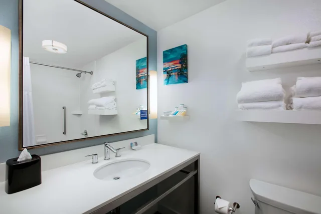 جناح بسرير كينج بشرفة بغرفة نوم واحدة لذوي الإعاقة، Hilton Garden Inn Mobile Downtown 3/5