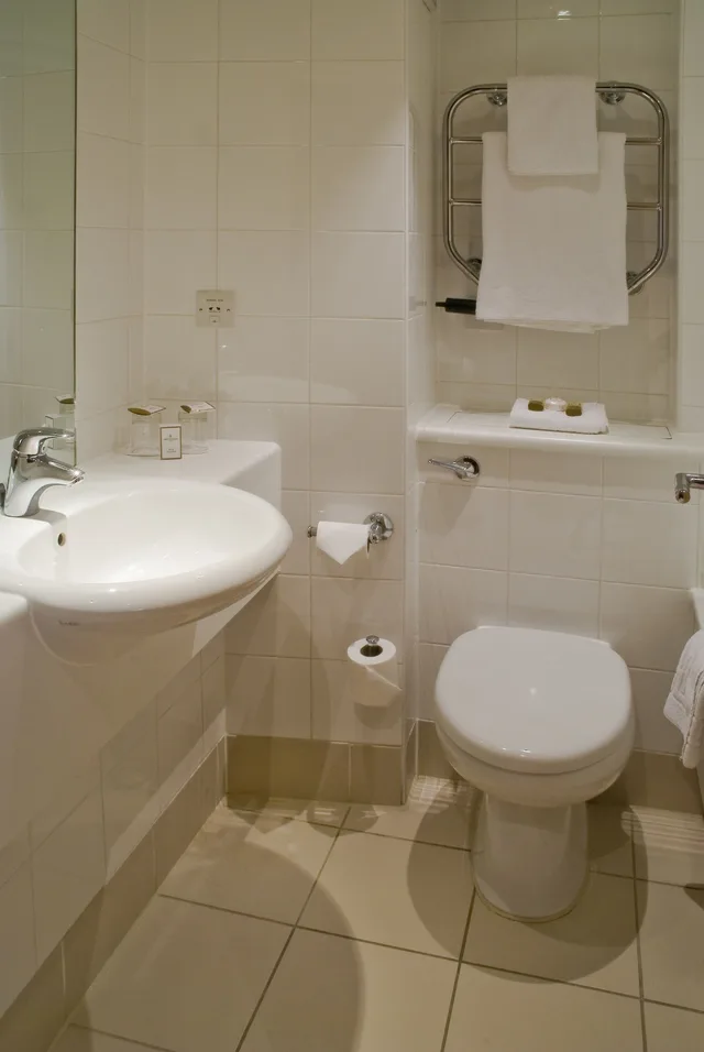 غرفة قياسية بسرير مزدوج، Britannia Airport Hotel Manchester 8/10