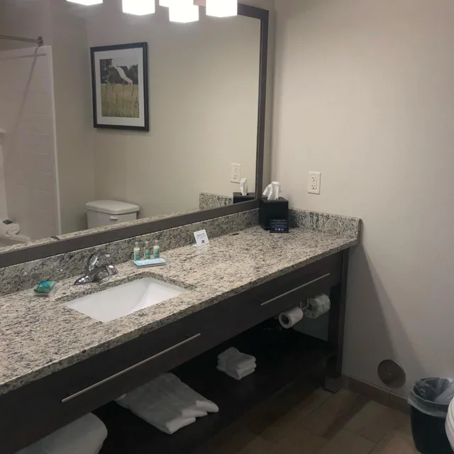 غرفة بسرير كينج بجاكوزي، GrandStay Hotel & Suites Rock Valley 2/5