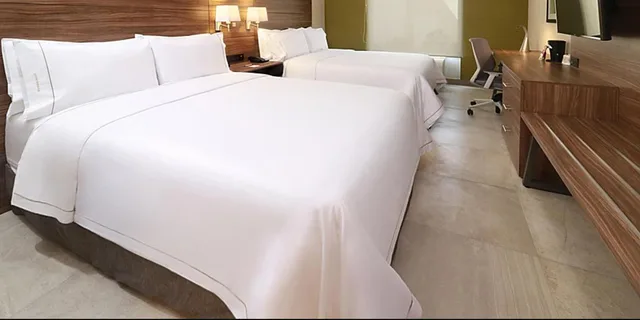 غرفة ديلوكس بسرير مزدوج، Holiday Inn Express Guadalajara Aeropuerto an IHG Hotel 1/3