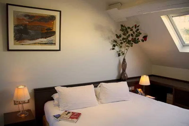 غرفة قياسية مفردة بسرير مزدوج، Hotel Le Colisee 3/3