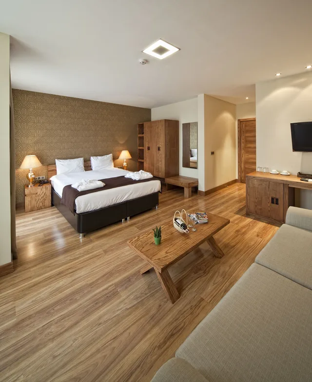 غرفة تنفيذية بسرير مزدوج مع أريكة بجاكوزي، Triada Otel 2/7