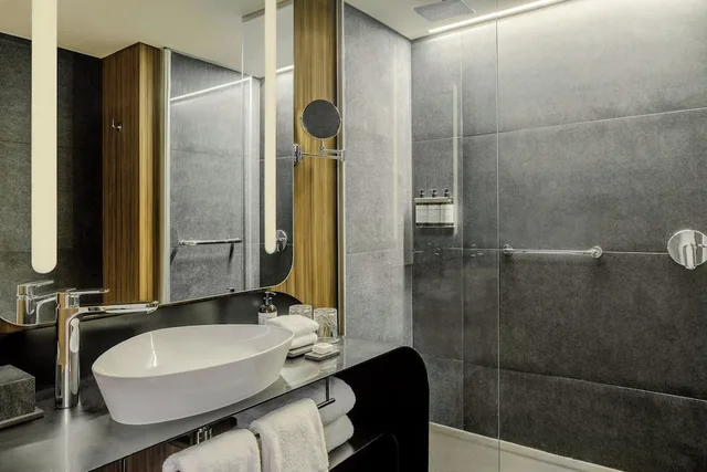 غرفة ديلوكس بسرير كينج، Recoleta Grand Hotel 7/8