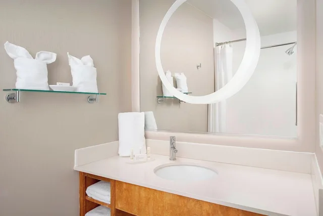 جناح بسرير كينج مع سرير سحّاب إضافي لذوي الإعاقة، Springhill Suites By Marriott Potomac Mills Woodbridge 3/3