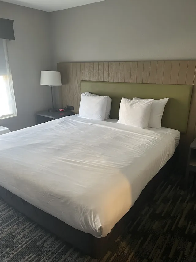 غرفة بسرير كينج لذوي الإعاقة، Country Inn & Suites by Radisson, Monona - Madison East 5/10