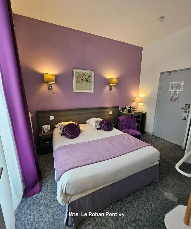 غرفة كومفورت مفردة، Citotel Le Rohan 4/6